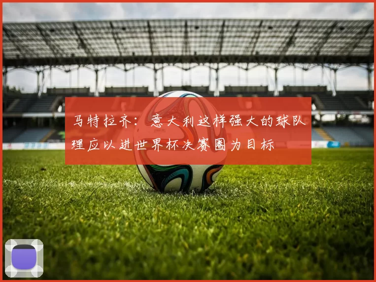 马特拉齐：意大利这样强大的球队理应以进世界杯决赛圈为目标