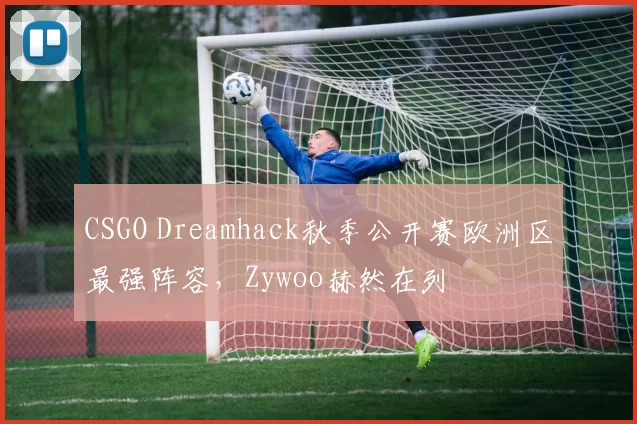 CSGO Dreamhack秋季公开赛欧洲区最强阵容，Zywoo赫然在列