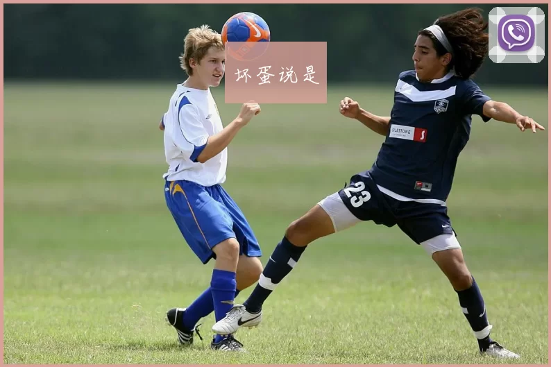 坏蛋说是
